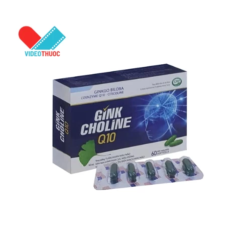 Gink Choline Q10