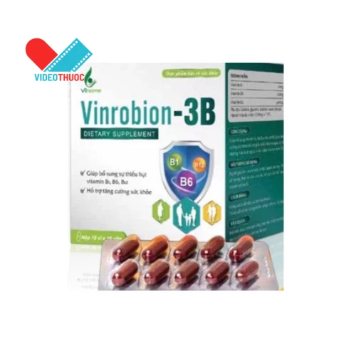 Vinrobion-3B